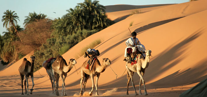 Tout savoir sur le voyage Mauritanie - Dunes de l'Amatlich et cités caravanières...