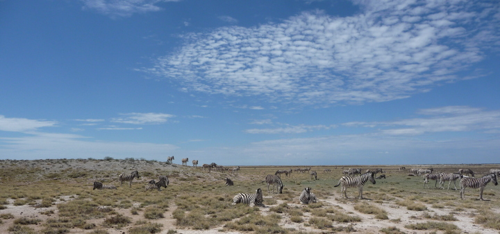 Périple en terres Namibiennes