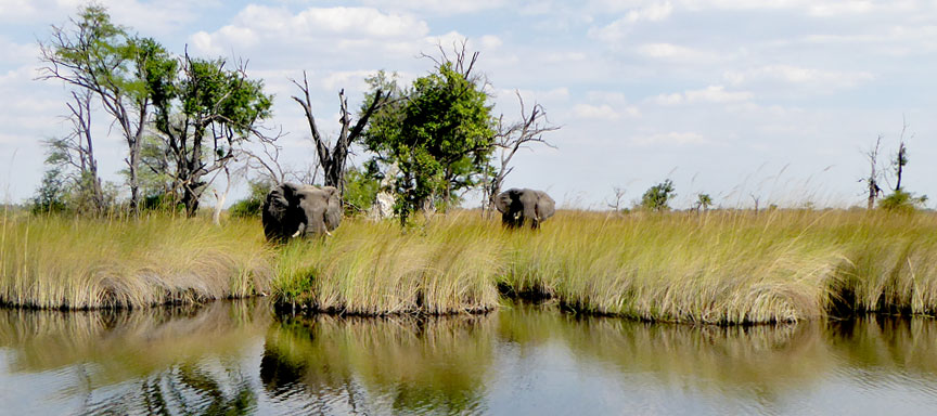 Tout savoir sur le voyage Botswana - Merveilles du Botswana...